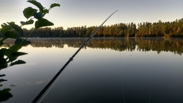 pêche au lever du jour au plan d'eau des mayères